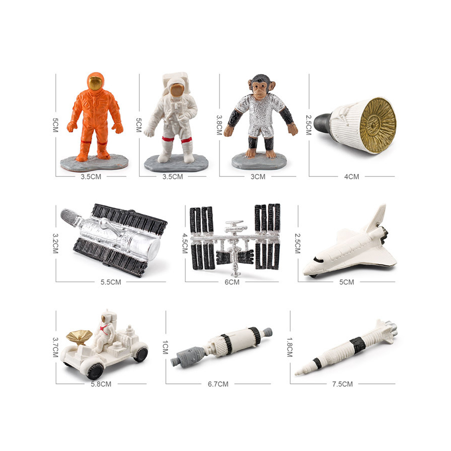 Realistic Human Organs Ancient - Kids Toys Egypt ulasan dan harga